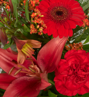 Boeket Bloemen Christmas Sparkle