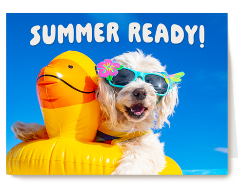 Kaart Hallmark | Groetjes Uit | Summer Ready Dog