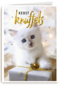 kerstknuffel van een kitten