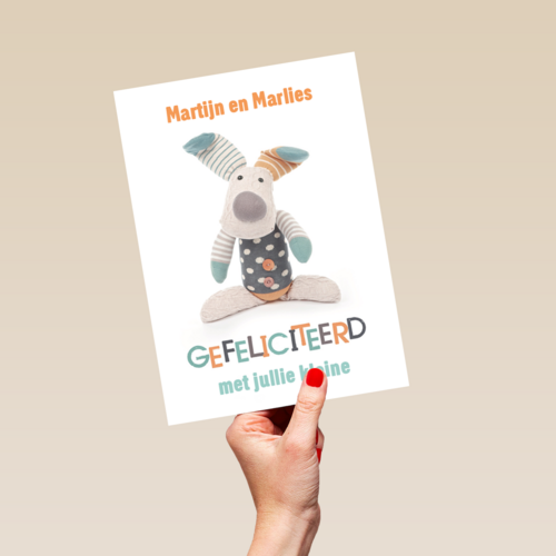 gefeliciteerd knuffel