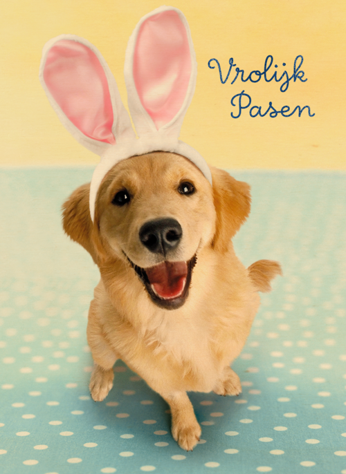 Houten Kaart Pasen | Hallmark | Houten Kaart Hallmark | Pasen | Pasen Kaart Hond Met Paashaas Oren