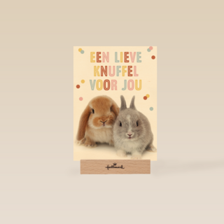konijntjes een lieve knuffel voor jou