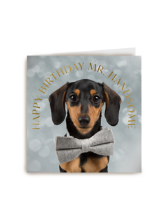 Happy birthday mr handsome