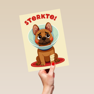 Beterschap Hond Gebroken Poot