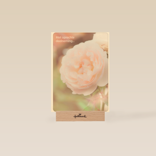 condoleance kaart klassiek met oprechte deelneming roos