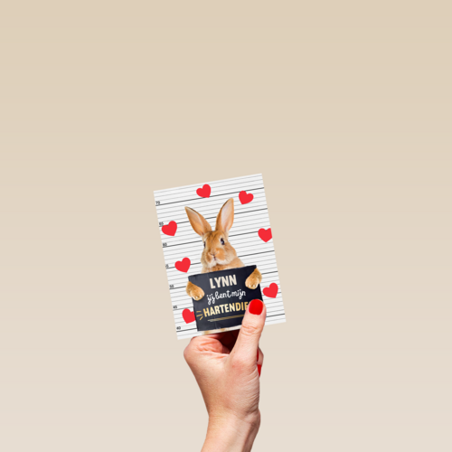 valentijn kaart konijn grappig jij bent mijn hartendief