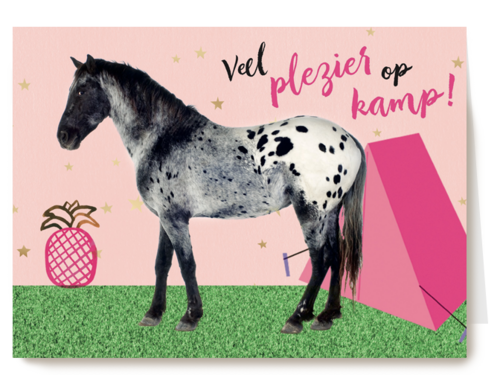 Kaart Hallmark | Op Kamp | Op Kamp Kaart Voor Een Meisje Met De Tekst Veel Plezier Op Kamp
