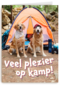 Op kamp kaart 2 honden bij tent