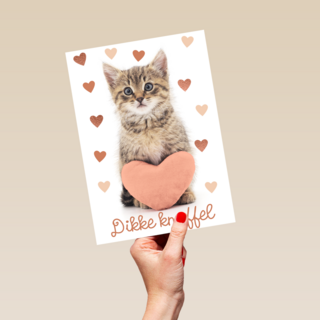 Liefde kaart kat met hart en dikke knuffel