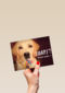 animal fiesta taart welke taart