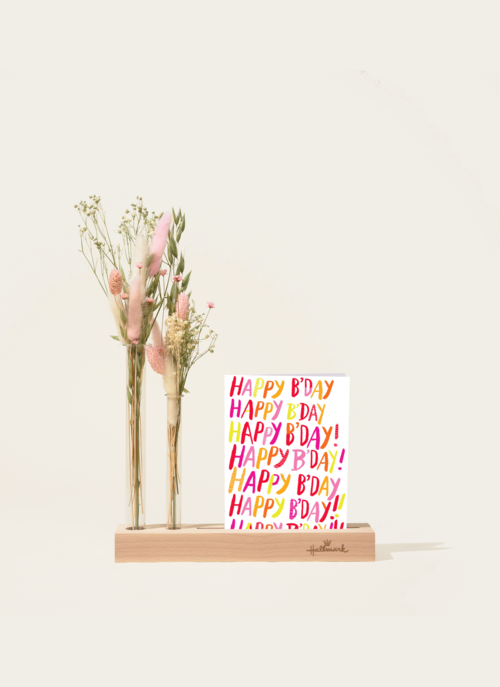 Brievenbuspakket Droogbloemen Roze Cadeau Houten Standaard |