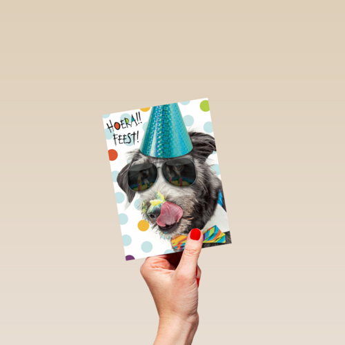 hoera feest hond met zonnebril