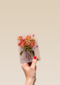 herfst kaart met herfstbloemen