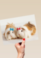 hamsters met strikjes