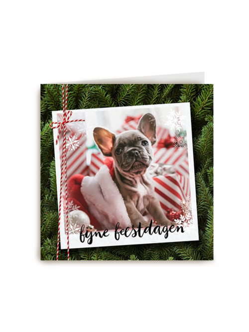 kerstkaart fotokaart hond fijne feestdagen