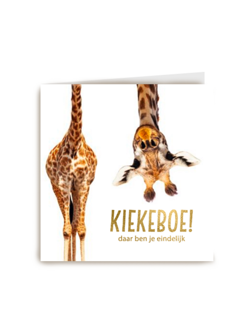 geboorte giraffe kiekeboe