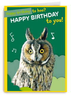 Happy Birthday to hoo