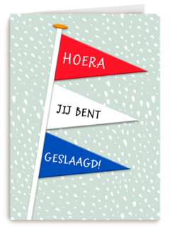 geslaagd kaart nederlandse vlaggetjes