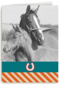fotokaart voor paarden