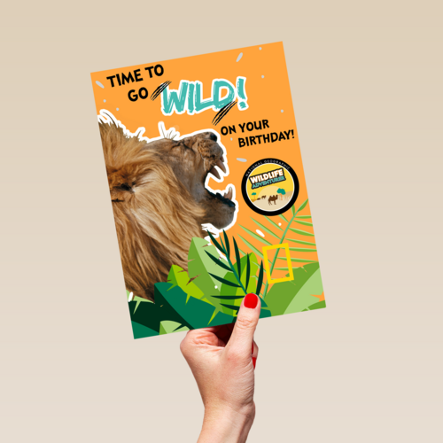 verjaardag kaart time to go wild