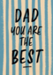Dad Youre The Best