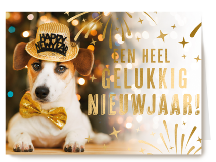 hond met strik en hoed bij kerstboom