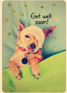 beterschap kaart klassiek get well soon