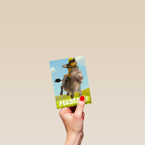 shrek feestje met donkey en puss in boots
