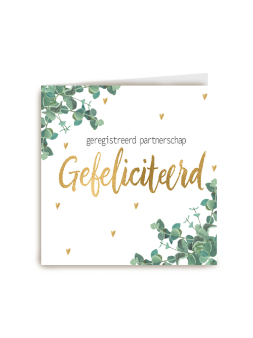 Kaart Gefeliciteerd met jullie Geregistreerd partnerschap