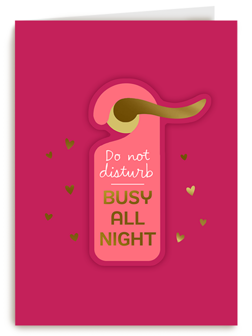 Kaart Hallmark | Valentijn | Valentine Do Not Disturb