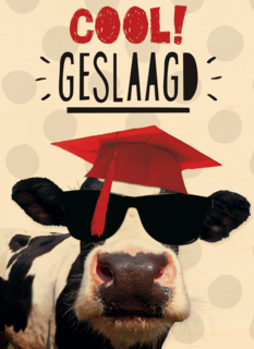 examen cool geslaagd koe