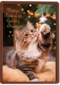 Prettige kerst en gelukkig nieuwjaar kat