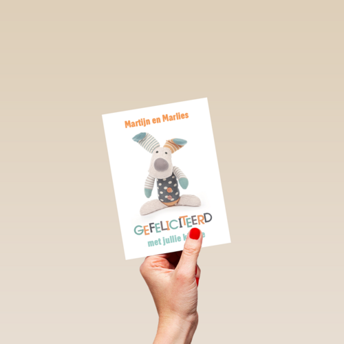 gefeliciteerd knuffel