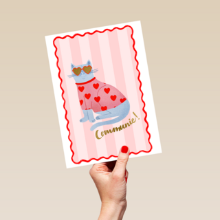 Communie coole lieve kat