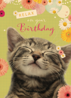 relax on your birthday