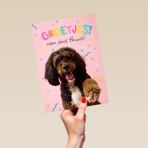 Op Kamp groetjes van thuis hond roze