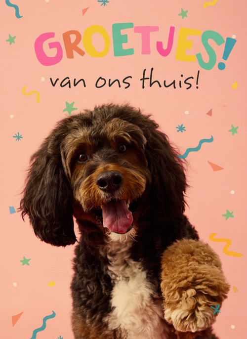 Houten Kaart Op Kamp | Houten Kaart Hallmark | Op Kamp | Op Kamp Groetjes Van Thuis Hond Roze