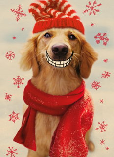 Big smile dog christmas