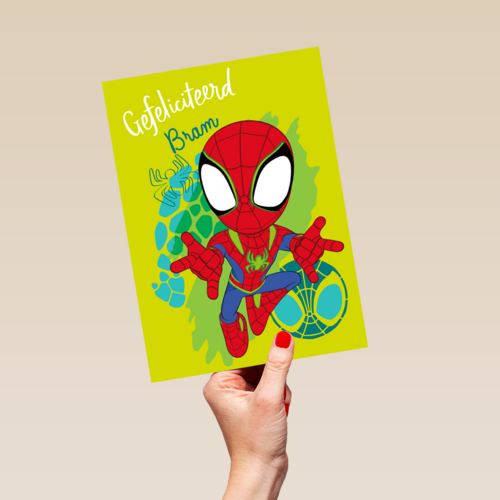 Gefeliciteerd Spidey and Friends