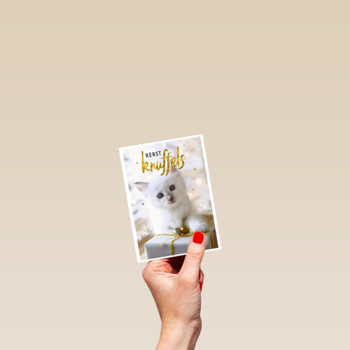 kerstknuffel van een kitten