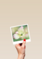 Sterktekaart Blanco met bloem Polaroid