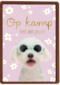 Hond op kamp