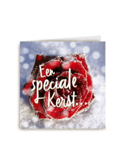 een special kerst met roos