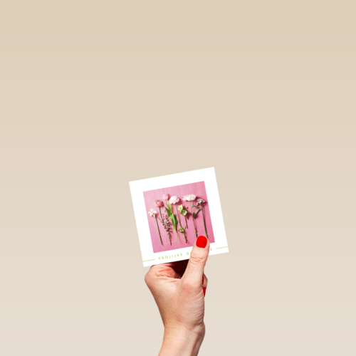 lente bloemen op roze achtergrond