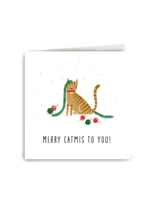 3erry catmis to you kat kerstkaart
