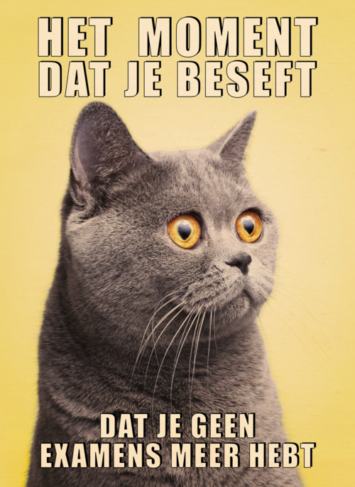 Houten Kaart Diploma | Hallmark | Houten Kaart Hallmark | Diploma | Geslaagd Kaart Kat Grappig