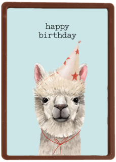 verjaardag kaart hip happy birthday lama alpaca