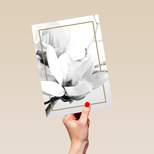 meerdere witte bloemen met goud randje