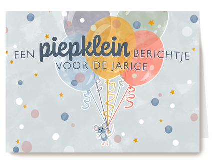 Making Memories Piepklein bericht jarige