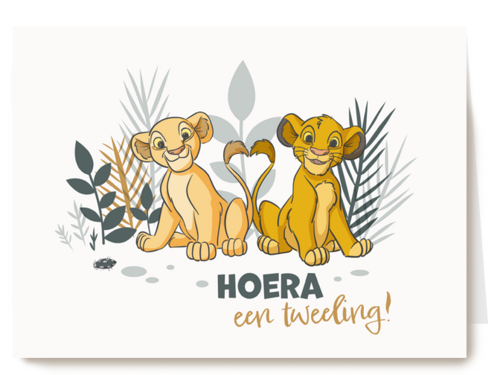 hoera een tweeling met simba en nala